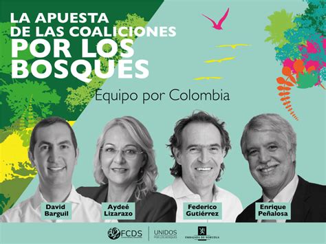 ¿qué Proponen Las Coaliciones En Materia De Bosques Lea Y Vote Informado Fcds Fundación