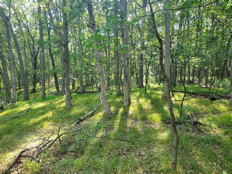 Marseilles LaSalle County IL Farms And Ranches Lakefront Property