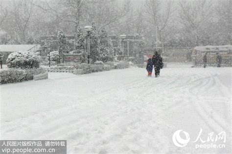 高清图片：山东威海遭遇强降雪【4】 图片频道 人民网