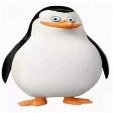 Angry Cartoon Penguin Meme