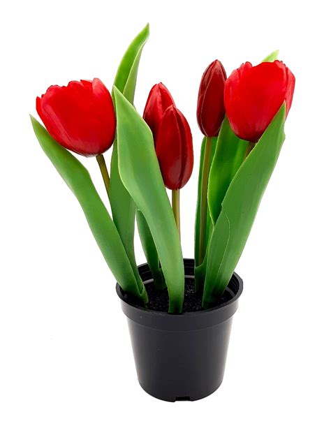 TULIPANY SILIKONOWE W DONICZCE TULIPAN CZERWONY 5x Tulipan Silikonowy