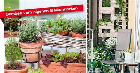 Balkongarten Gem Se Auf Dem Balkon Anbauen Faustmann