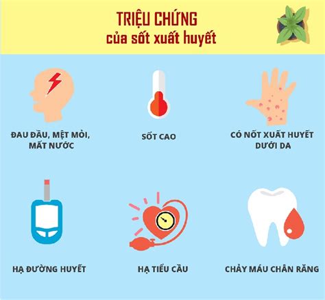 Phân Biệt Triệu Chứng Sốt Xuất Huyết Và Covid 19