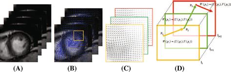 Optical Flow Field And Trajectories A 25 Frame Consecutive Lv Image B