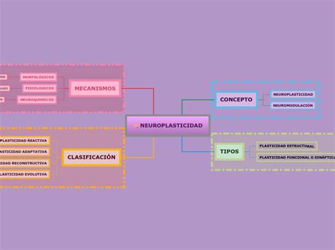 NEUROPLASTICIDAD Mind Map