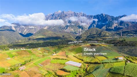 Aerial View Of Kundasang Sabah Landscape With Cabbage Farm And Mount Kinabalu At Far Background