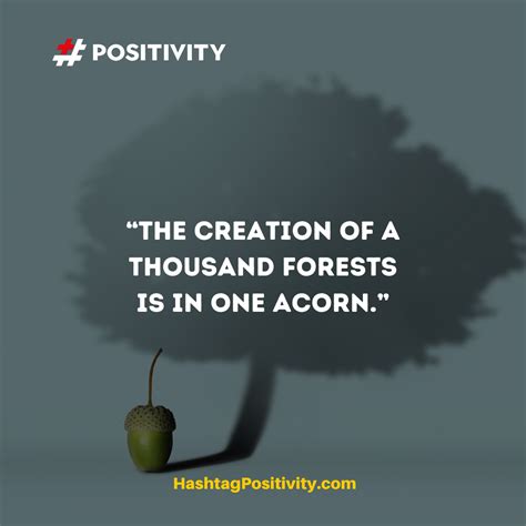 The Creation Of A Thousand Forests Is In One Acorn Positivity