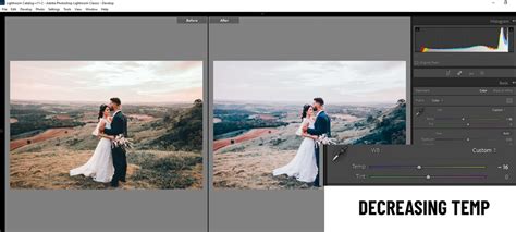 how to install and use presets in photoshop
