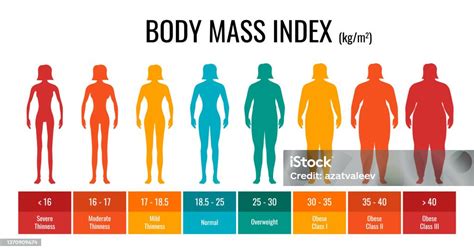 Bmi Klasifikasi Grafik Pengukuran Wanita Set Infografis Indeks Massa