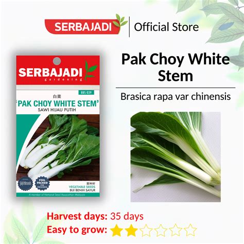 Serbajadi Pak Choy White Stem Vegetable Seed Biji Benih Sayur Sawi