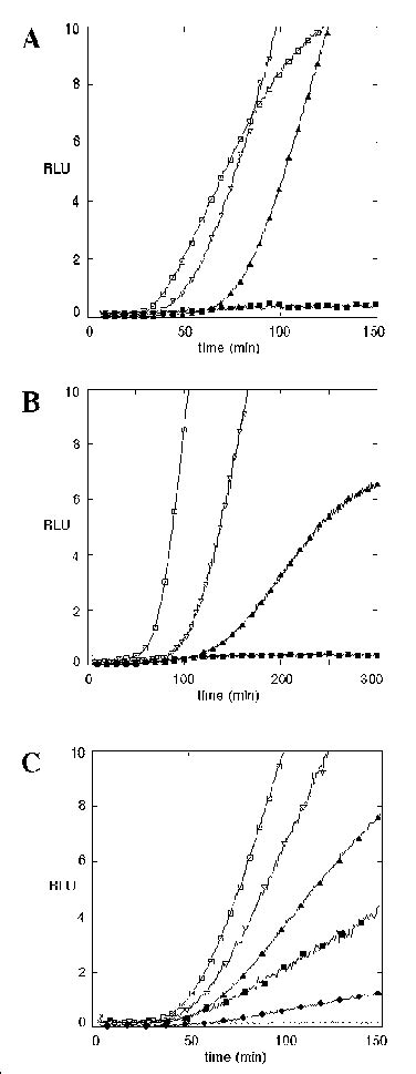 expression  luc   transcription activation conditions