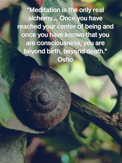 Pin By K S On Words Of Wisdom Osho Osho Quotes On Life Osho Quotes