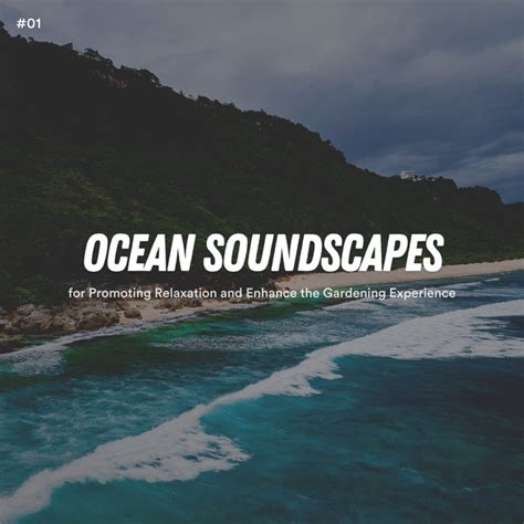 01 Ocean Soundscapes For Promoting Relaxation And Enhance The