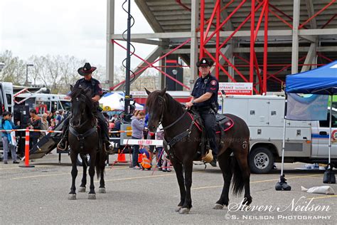 Calgary Police Mounted Patrol The Mounted Patrol Unit Used Flickr