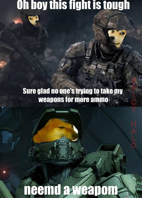 Apparently The Halo Community Loves Doge Rhalomemes