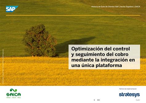 Caso Exito Saica Stratesys Sap Fscm Dispute Collections Ppt