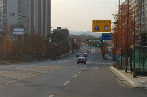 호명초 어린이보호구역 신호과속 단속카메라 설치 예천e희망뉴스