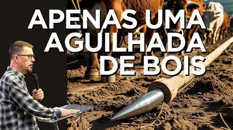 O Que É Aguilhada De Boi - APENAS UMA AGUILHADA DE BOIS | ComBC ao vivo - YouTube