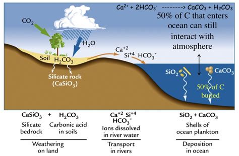 Chemical Weathering Hydrolysis Diagram