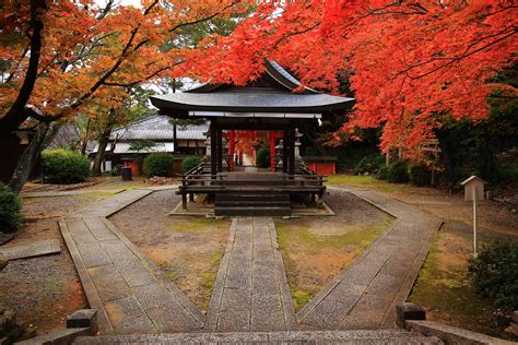 秋の竹中稲荷神社 極上の隠れた紅葉の名所 京都もよう Kyoto Moyou