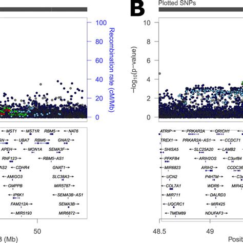 Plot Of Region On Chromosome 3 Identified As Having A Sex Specific Download Scientific Diagram