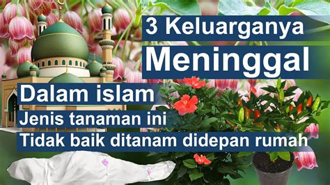 Dalam Islam Ada Jenis Tanaman Yang Tidak Baik Ditanam Didepan Rumah