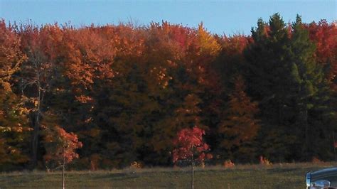 Northern Michigan fall colors. Northern Michigan, Fall Colors, Natural ...