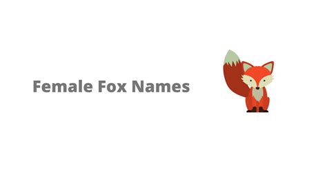 250+ Fox Names (Male & Female) - Equine Desire