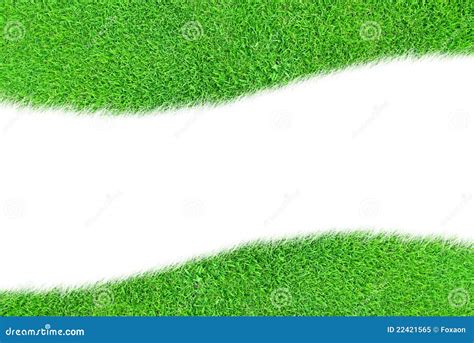 A Green Grass Blank Curve Isolated Stock Image Image Of Blossoming Leaf 22421565