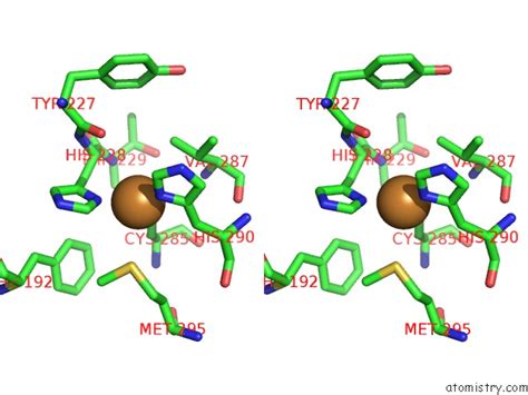 Copper In Pdb M H Crystal Structure Of Small Laccase Ssl From