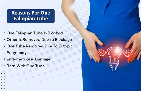 Blocked Fallopian Tube Symptoms Causes Diagnosis And