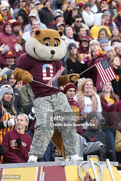 13 Gophers Mascot Goldie Stock Photos, High-Res Pictures, and Images ...