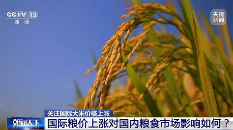 国际粮价持续上涨 对国内粮食市场有何影响？ 中国科技网