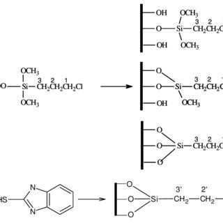 Structure of amorphous silica organofunctionalised with... | Download ...