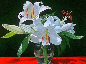 HD white_lilies wallpapers | Peakpx