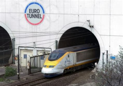 Eurostar percuté par un sanglier retour du trafic à la normale Radio