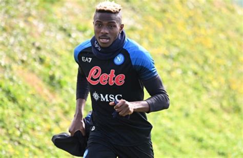 Notizie Calcio Napoli Napoli Il Report Dell Allenamento Osimhen