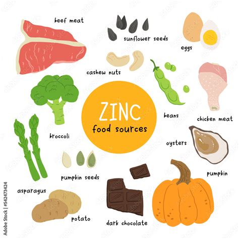 Zinc food sources vector stock illustration. Food products with a high content of zinc. Oysters ...