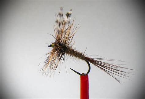 Adams Dry Fly