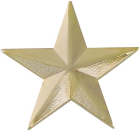 Forge 3d 5 Point Gold Star Lapel Pin 1 Pack Clothing