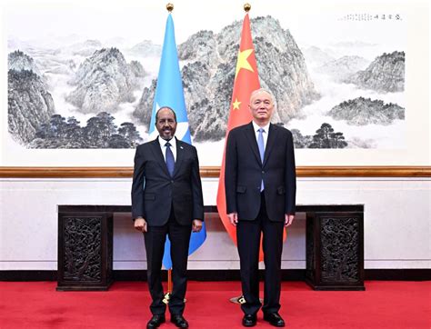 FOCAC Senior CPC Official Meets Somali President Xinhua