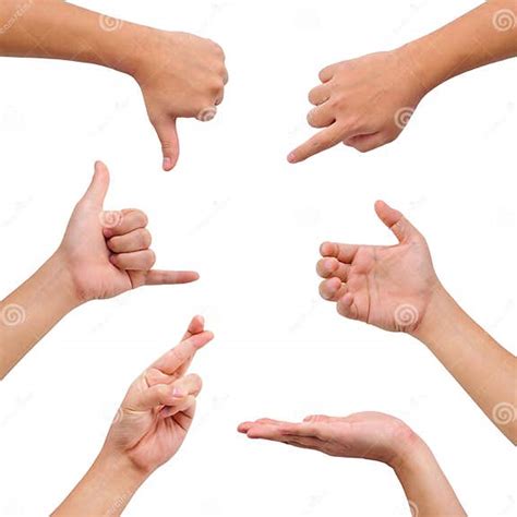 Collection Of Different Gesture Of Hands Stock Photo Image Of Show