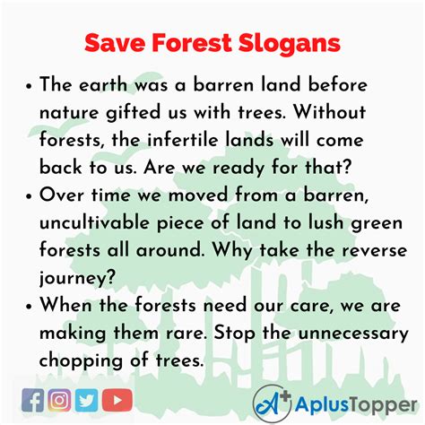 Save Forest Slogans | Unique and Catchy Save Forest Slogans in English ...