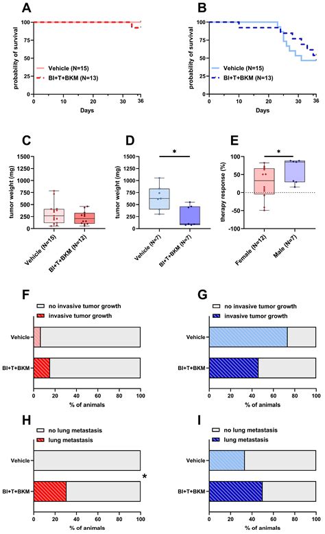 Cancers Free Full Text Sex Mattersinsights From Testing Drug