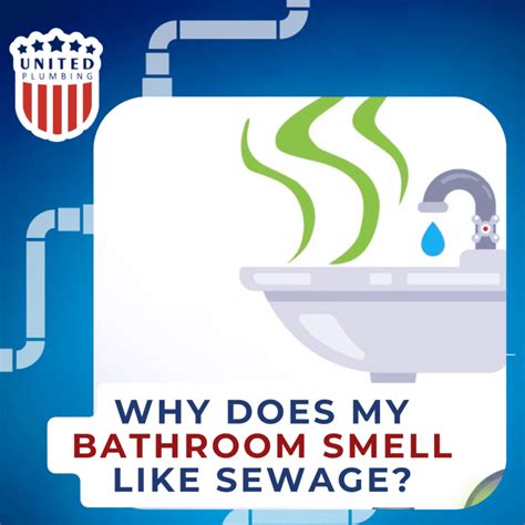 Why Does My Bathroom Smell Like Sewage United Plumbing Blog