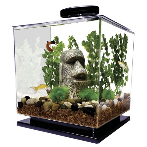 Best 3 Gallon Fish Tank To Get For Your Fish - Meego