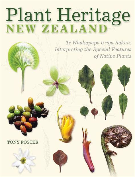 Tony Foster On Twitter Plants Native Plants Edible Plants