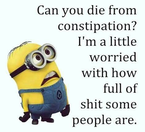 Minions Images Funny Minion Pictures Funny Minion Memes Minions