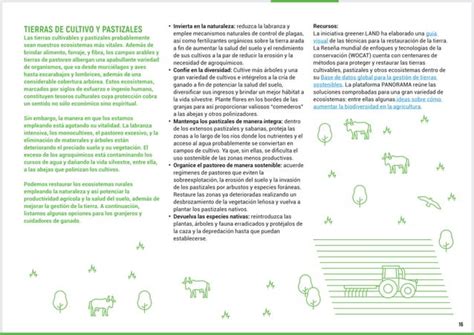 Manual De Restauraci N De Los Ecosistemas Ppt