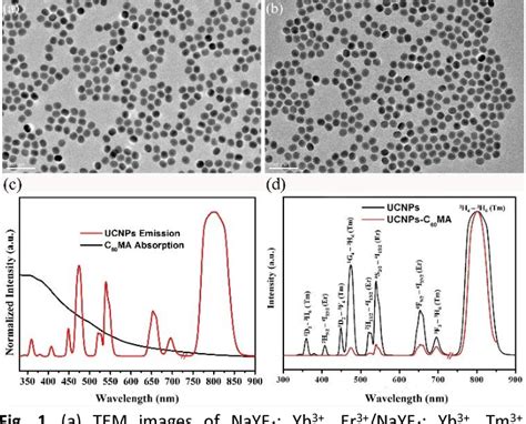 Figure From In Vivo Nm Image Guided Photodynamic Therapy Based On